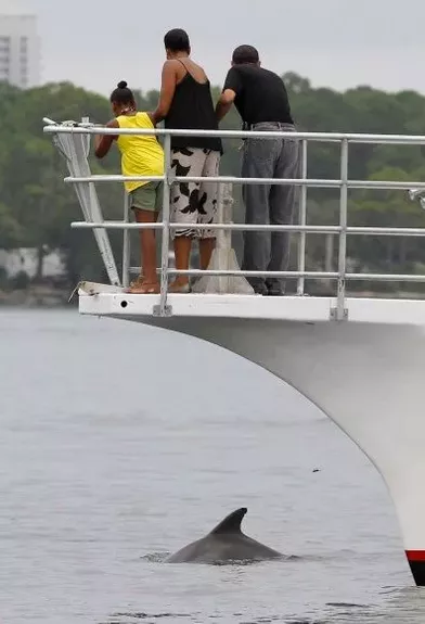 Les Obama ont eu la chance d'apercevoir un marsouin, alors qu'ils faisaient un tour de bateau à bord du &quot;Lady Bay point.&quot;