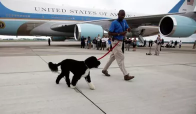Le chien de la famille présidentielle, Bo, était également en vacances.