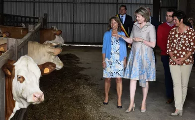 La reine des Belges Mathilde dans une ferme du Limbourg, le 13 juin 2019