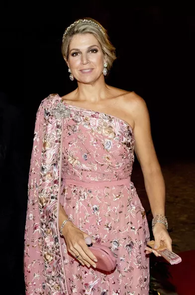 Détail de la robe de la reine Maxima des Pays-Bas à New Delhi, le 14 octobre 2019