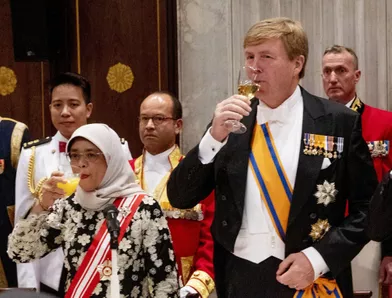 Le roi Willem-Alexander des Pays-Bas et la présidente de Singapour à Amsterdam, le 21 novembre 2018
