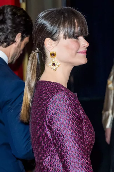 La nouvelle coiffure de la princesse Sofia de Suède à Stockholm, le 11 janvier 2022