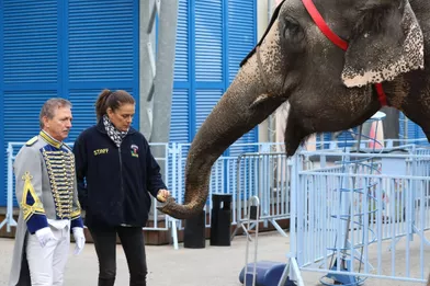 Stéphanie retrouve ses amis les éléphants 