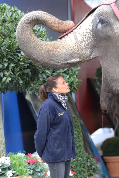 Stéphanie retrouve ses amis les éléphants 