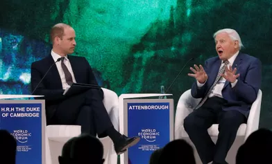 Le prince William avec Sir David Attenborough à Davos, le 22 janvier 2019