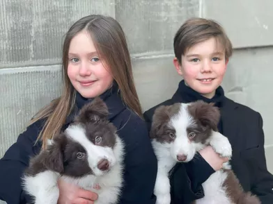 La princesse Josephine et prince Vincent de Danemark avec leurs chiots. L'un des portraits diffusés le 8 janvier 2022 pour leur 11e anniversaire
