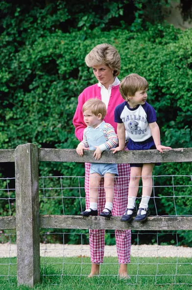 https://www.parismatch.com/Royal-Blog/Royaume-Uni/La princesse Diana avec ses fils les princes William et Harry, le 18 juillet 1986