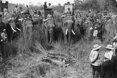 photos la reine se debarrasse de ses trophees de chasse