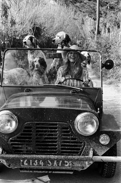 Brigitte Bardot avec ses chiens au volant de sa Mini Moke, à la Madrague en avril 1980.