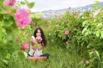 Fanny, une Grassoise dans un champ de rose Centifolia avec la ville de Grasse en arrière-plan.