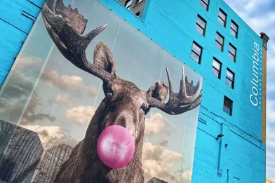 Street Art sur le mur de la Columbia University «le Moose Bubblegum Bubble «de Jack Watts.