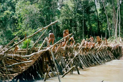 Lors de la saison des pluies, lorsque les collines de la Serra de Norte sont recouvertes de nuages, le plus long rituel indien d’Amazonie commence. Le rituel du Yãkwa maintient l'harmonie du monde. Cette cérémonie dure quatre mois, durant lesquels ont lieu des échanges de nourriture entre les Enawene Nawe et les yakaitiri, maîtres du poisson et du sel. Au début du Yãkwa, les Enawene Nawe construisent des waitiwina, (barrages) à travers l'adowina (le rio Preto). Les barrages sont édifiés à l'aide de branchages entrelacés formant un treillage dans lequel sont insérés des dizaines de pièges coniques. Écorces et plantes grimpantes assurent l'assemblage.