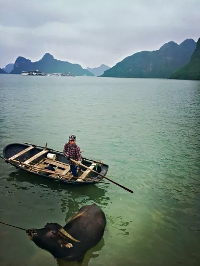 Au Vietnam, la baie d’Along a été classée Vestige historique et culturel par l’Unesco en 1994.
