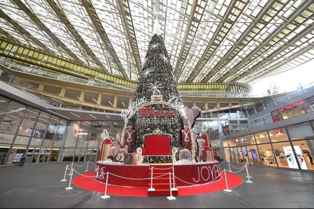 Les-Francais-pourront-acheter-un-sapin-d