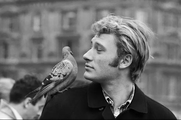Johnny et les Animaux ... - Page 2 Quand-Johnny-Hallyday-racontait-Leon-Smet-son-pere