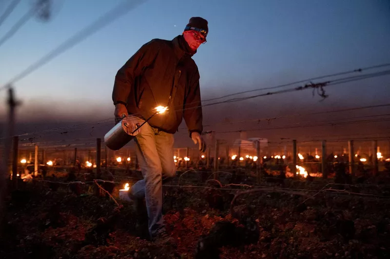https://resize-parismatch.lanmedia.fr/f/webp/rcrop/800/img/var/news/storage/images/paris-match/actu/environnement/en-images-les-vignes-francaises-en-feu-pour-faire-face-au-gel-1732472/abaca-761391-002/28556091-1-fre-FR/ABACA-761391-002.jpg