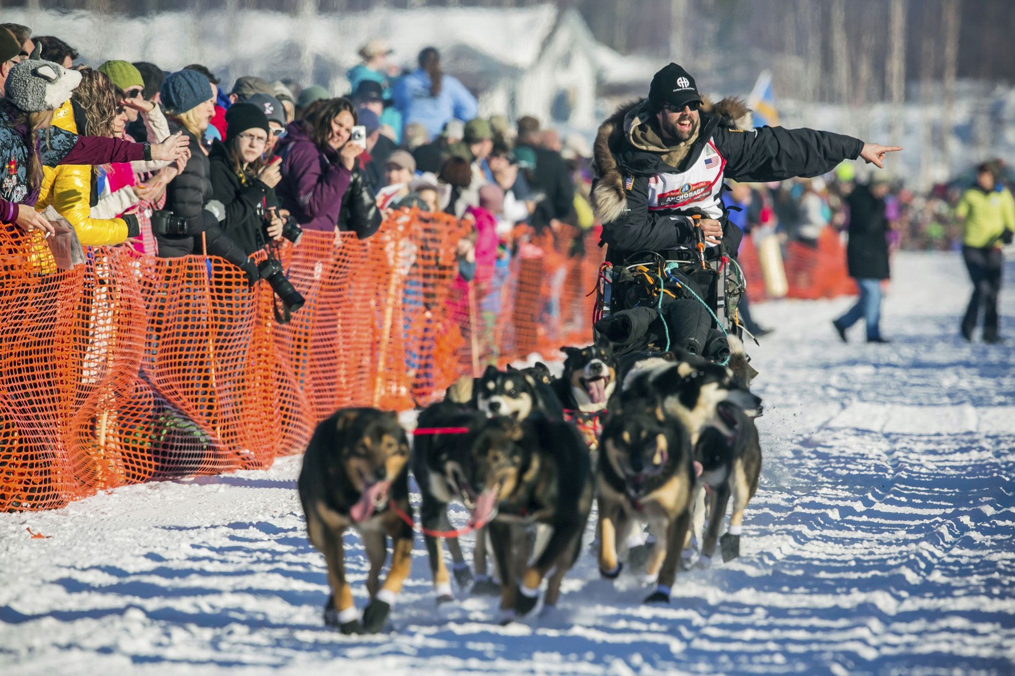 Course En Alaska Une Vie De Chien De Traineau