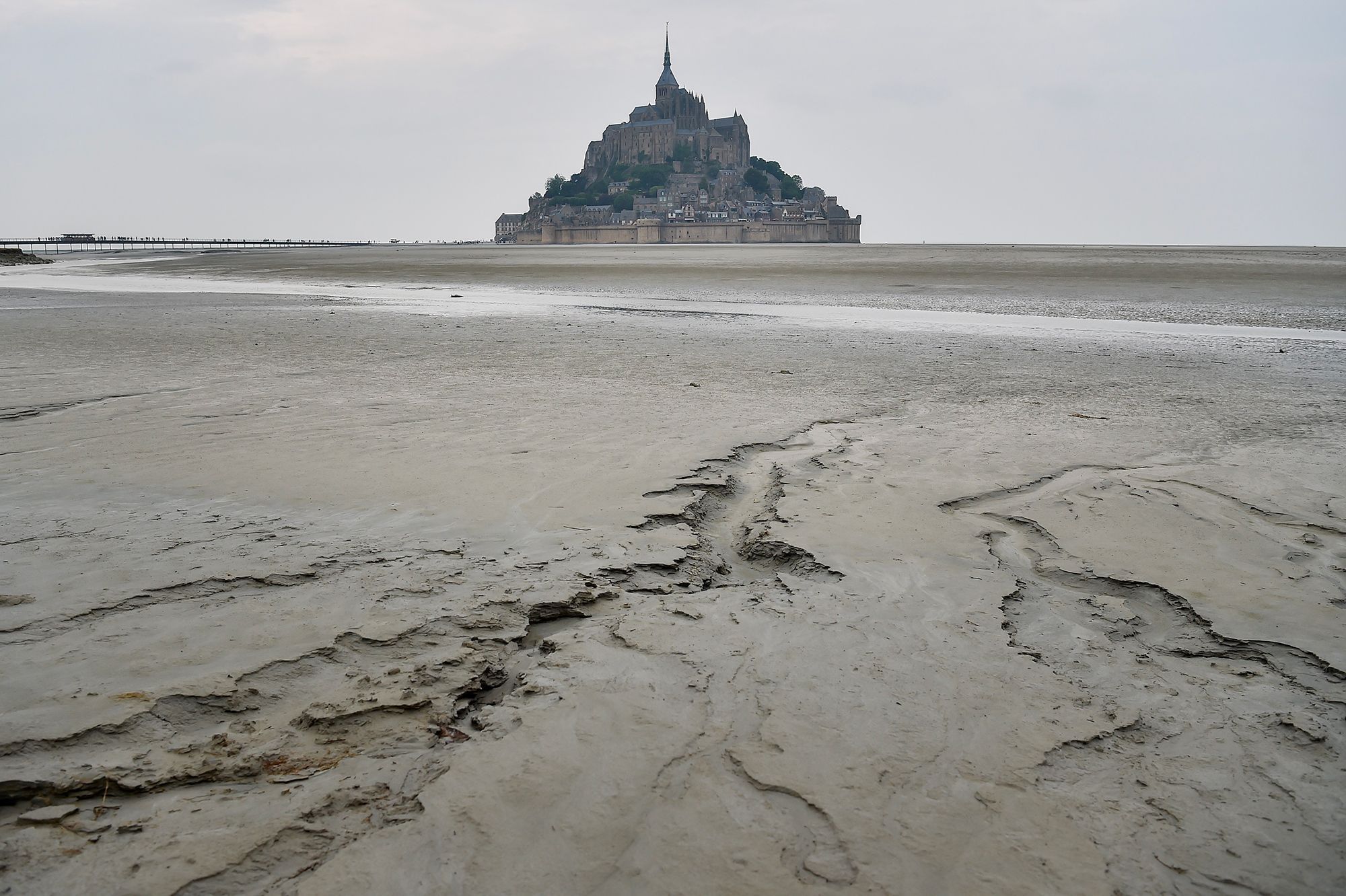 Des Plages Proches Du Mont Saint Michel Victimes De Pollutions