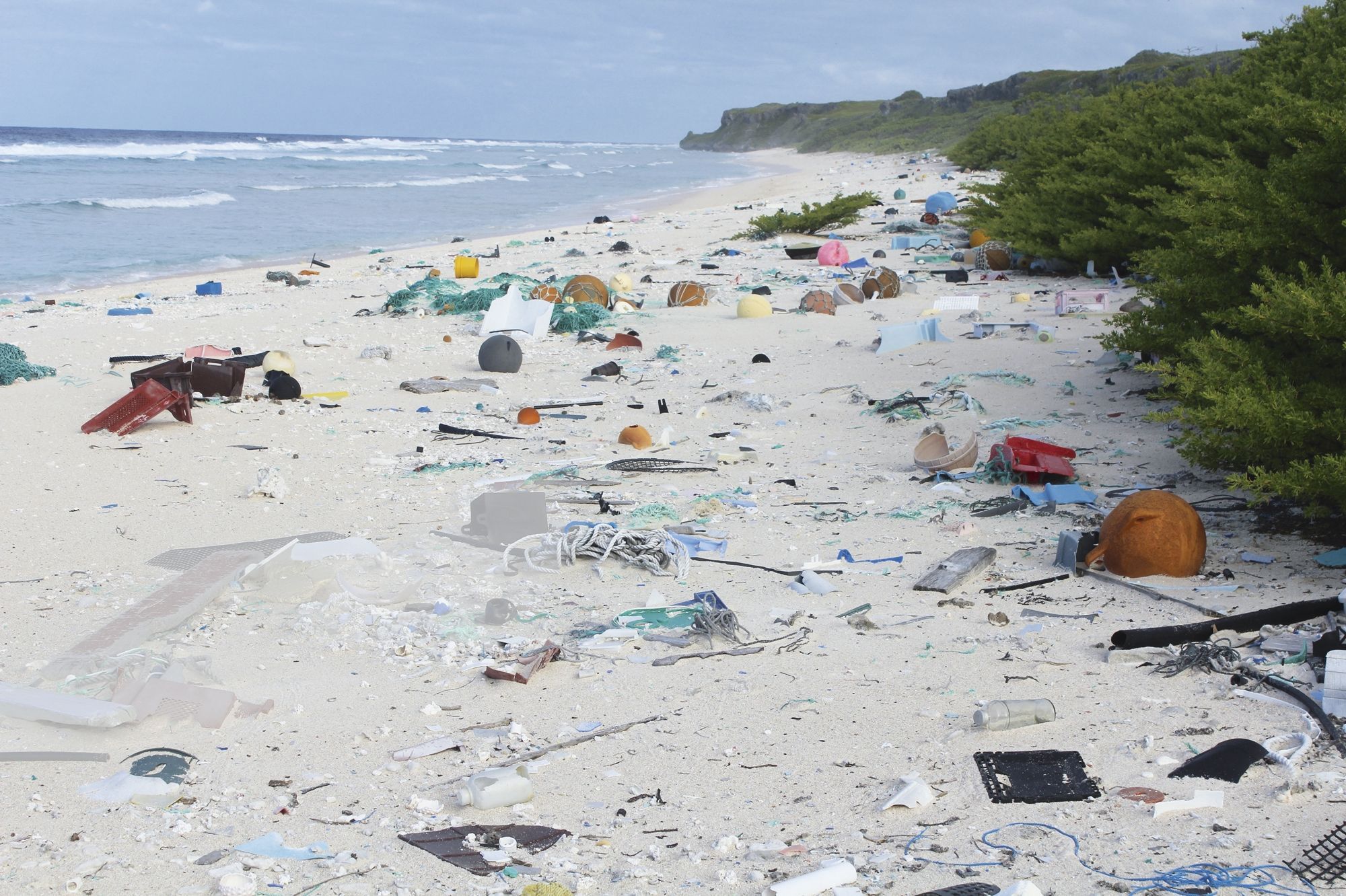 Henderson Lîle La Plus Polluée Par Le Plastique Au Monde