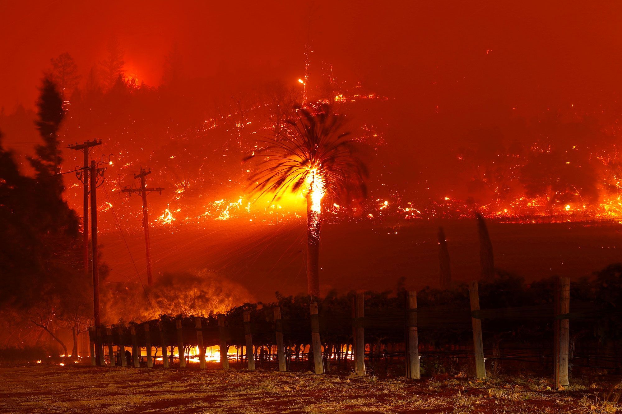 Incendies en Californie : dans l&#39;enfer rouge du Glass Fire