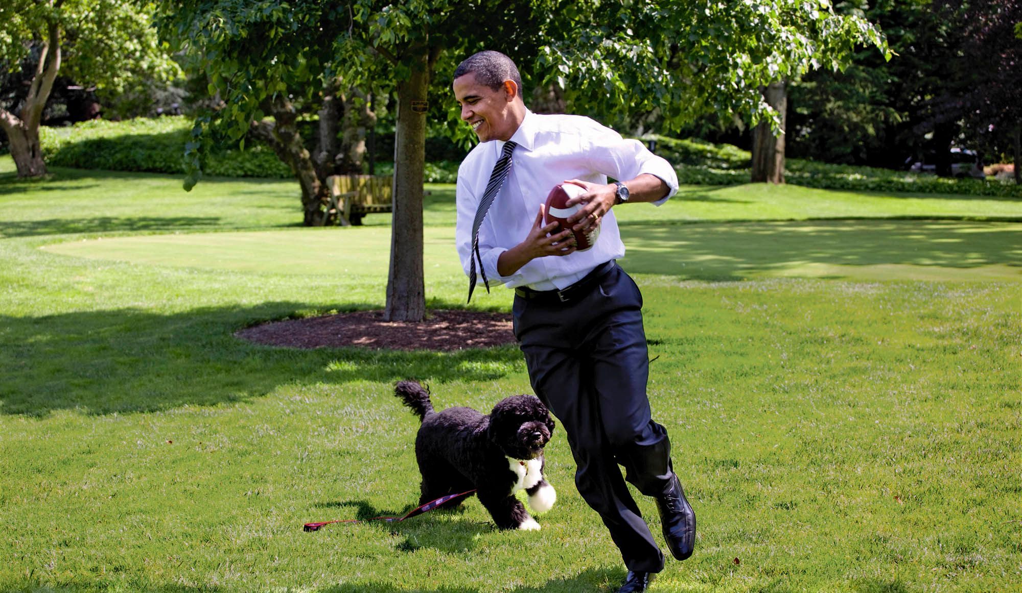 Les First Dogs De La Maison Blanche