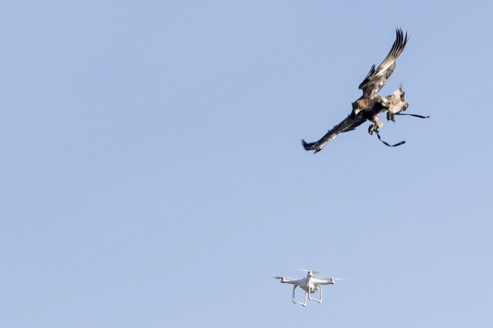 Contre Terrorisme Une Nouvelle Race De Guerriers