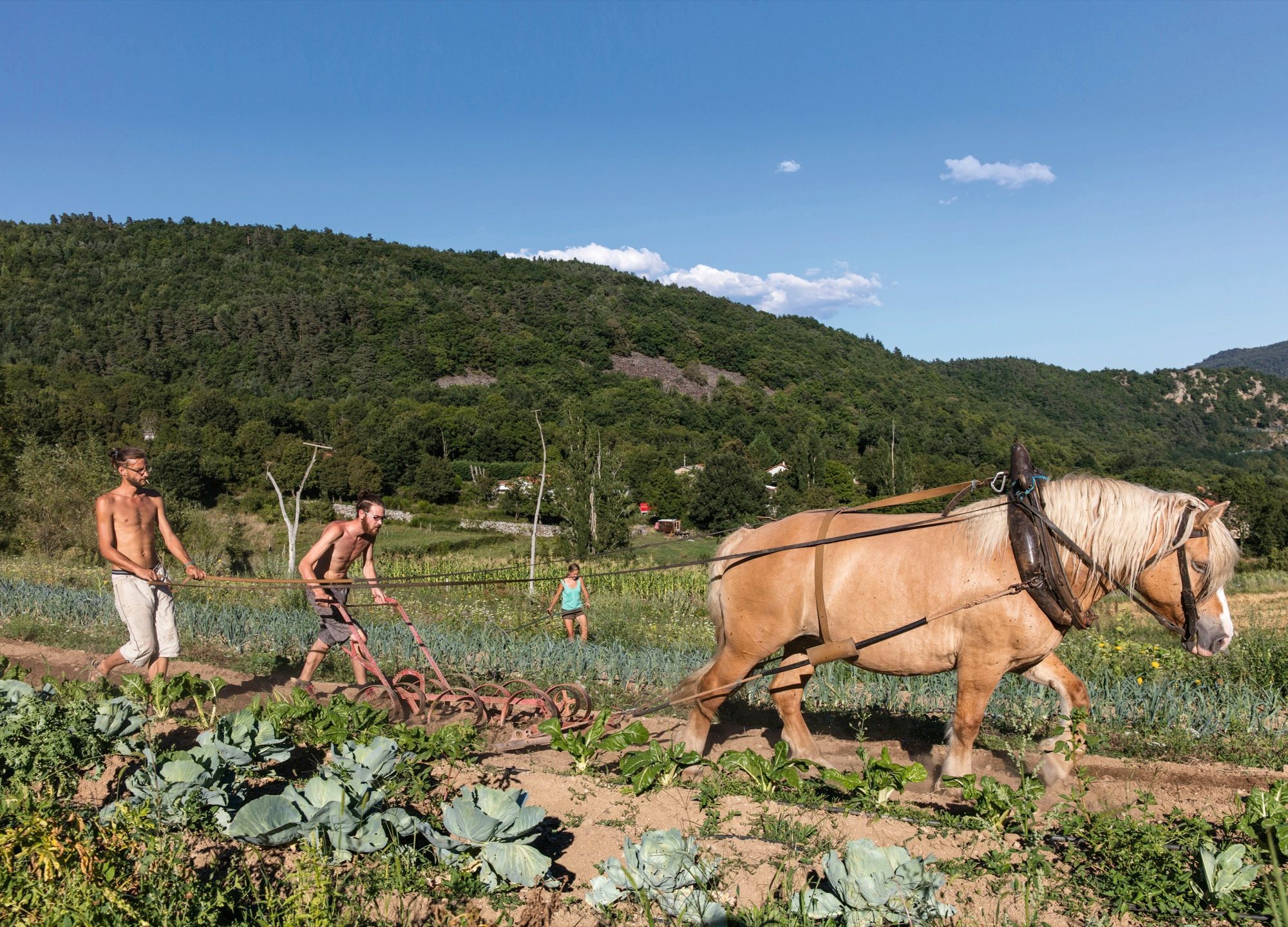 Les Nouveaux Paysans