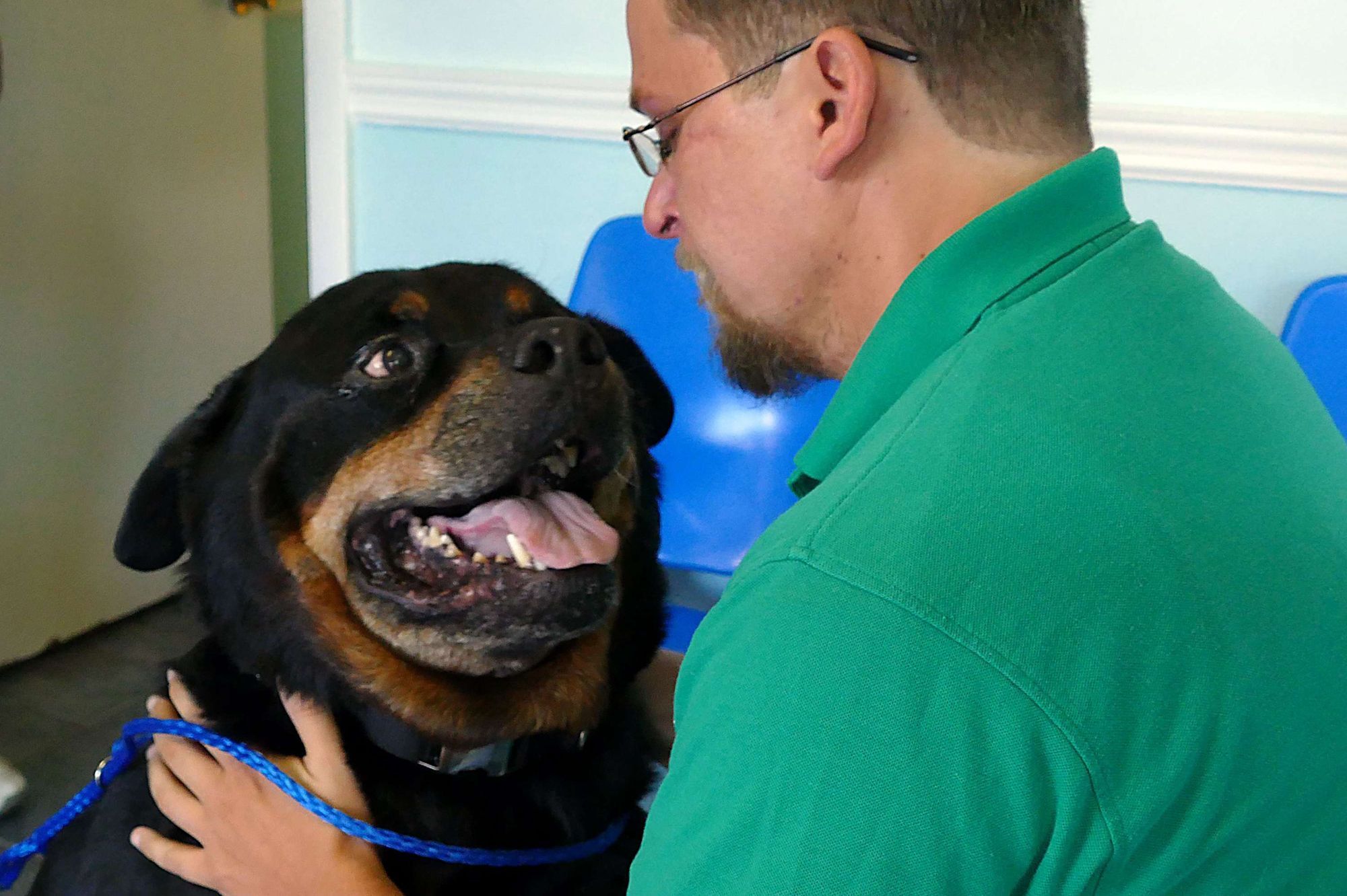 Le rottweiler avait disparu il y a 8 ans - Les émouvantes 