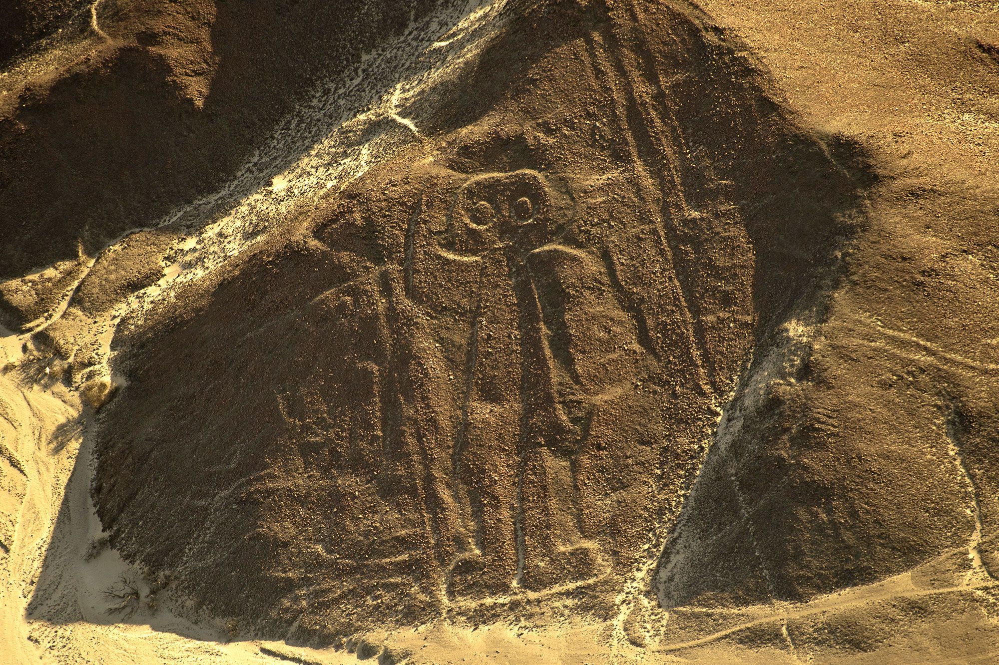 nazca géoglyphes