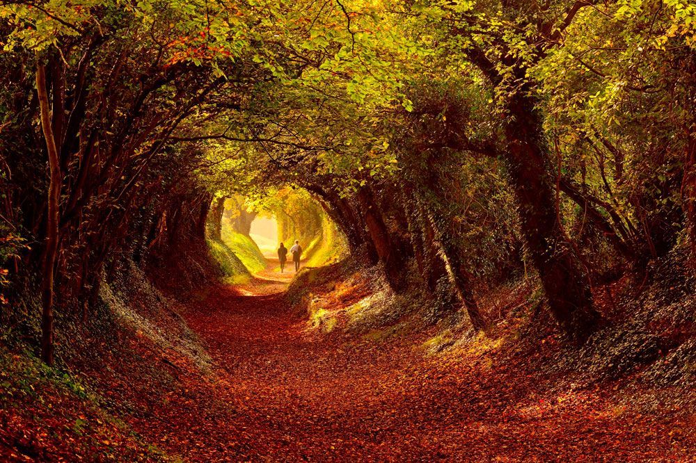Des couleurs incroyables - Les cinq plus belles promenades d&#39;automne