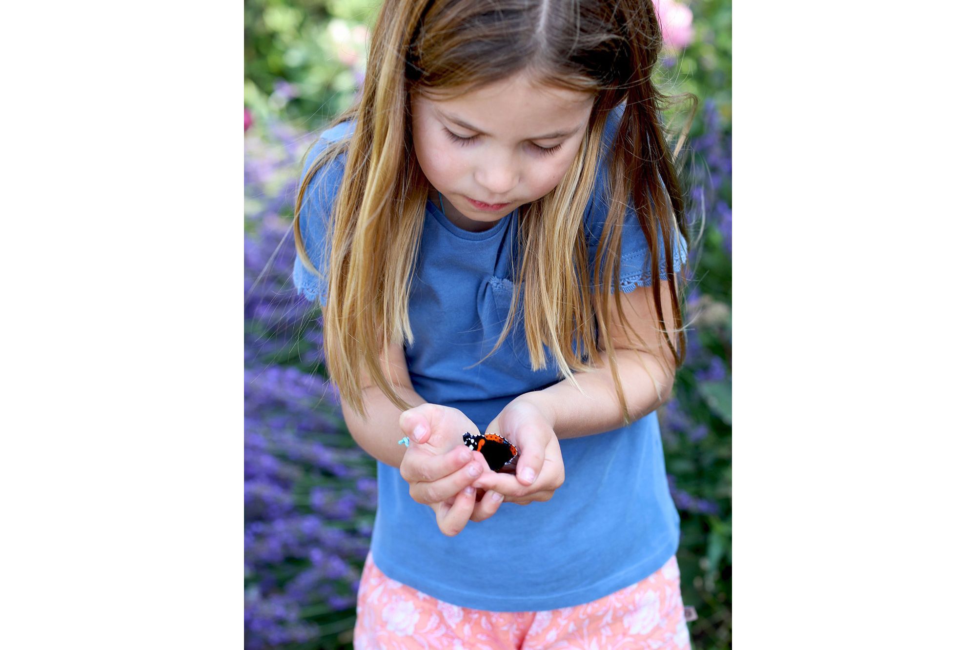Charlotte De Cambridge Devoile Son Amour Pour Les Papillons