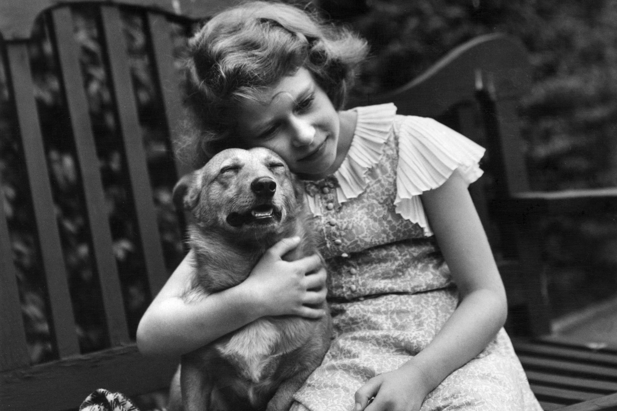 Sa Majesté Dévastée Par La Mort De Son Dernier Corgi