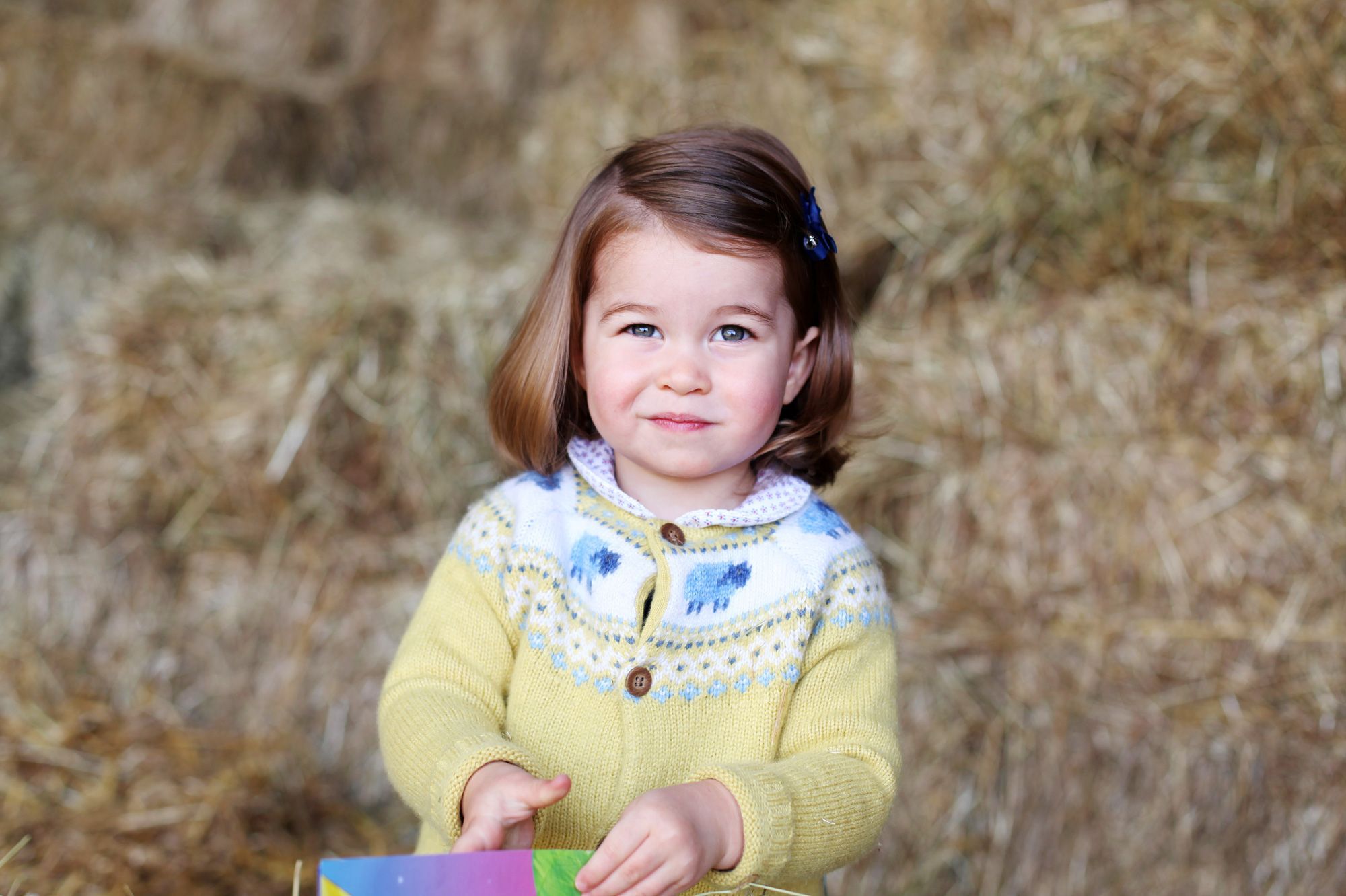 Princesse Charlotte Une Nouvelle Photo Pour Son Deuxieme Anniversaire