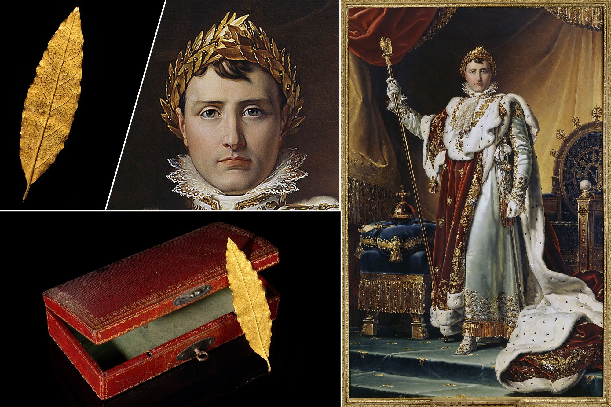 Quelle Est La Difference Entre Napoleon Bonaparte Et Napoleon 1Er