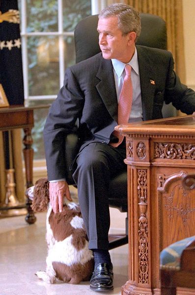 George W Bush octobre 2001 George W Bush octobre 2001