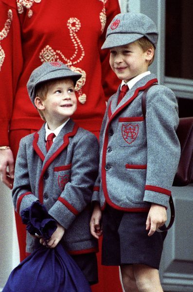 Le prince Harry et le prince William