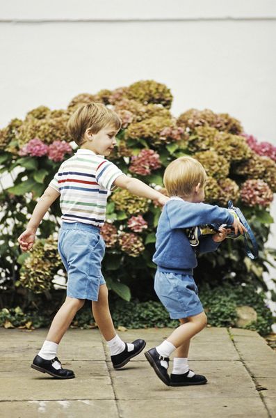 Le prince William et le prince Harry