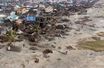 A Mananjary, lors du passage du cyclone Batsirai.