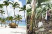 Le contraste est frappant: à gauche, les plages et les hôtels de luxe en République dominicaine. A droite, les plantations de bananes où triment les Haïtiens sous-payés.