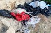 La décharge d&#039;animaux morts, à Chypre.