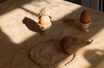 Coquetier en blé tressé de la designeuse Emma Bruschi, créée pour l'exposition "Miracle sur ce qui a du coeur", au musée de la Paille de Wohlen, en Suisse.
