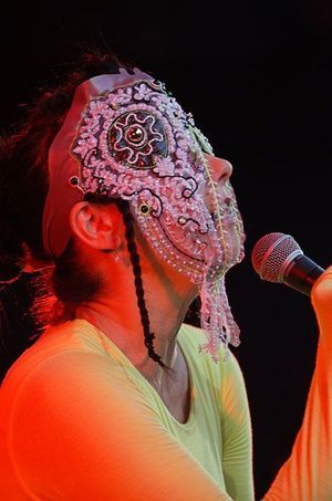 La chanteuse Björk à Lyon