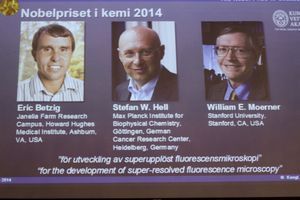 Le prix Nobel de Chimie a été remis à Eric Betzig, William Moerner et Stefan Hell.