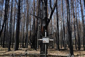 Début avril, des feux de forêts qui s'y sont déclarés ont pris une ampleur inédite à Tchernobyl. 