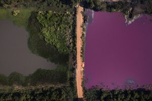 Au Paraguay, une lagune devient violette à cause de déchets polluants
