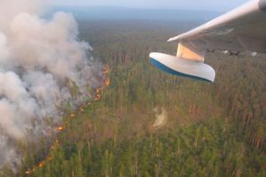 Des millions d'hectares de la forêt sibérienne détruits par des incendies