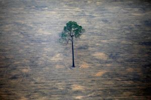 L’écocide, comme en Amazonie ci-dessus, pourrait être passible de vingt ans de réclusion et de 10 millions d’euros d’amende.