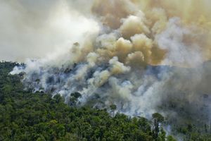 En Amazonie, les feux empoisonnent la santé des bébés