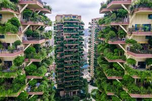En Chine, des bâtiments "végétalisés" envahis par les plantes