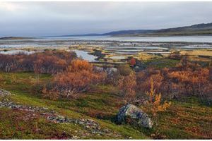 Fonte du permafrost : quand la terre se dégèle, la menace virale s'éveille